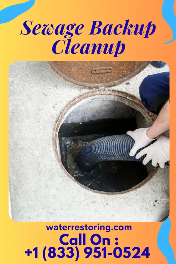 Sewage Backup Cleanup in Redbird Smith, OK
